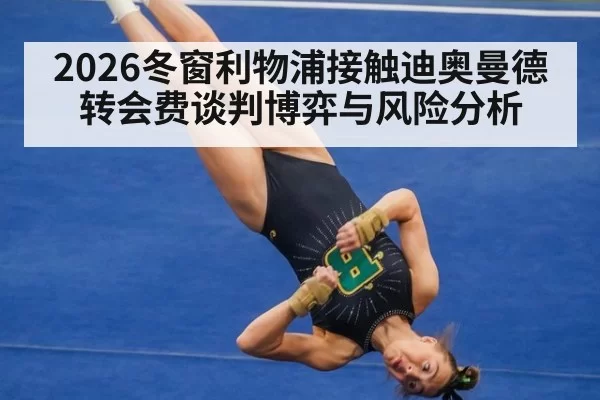 2026冬窗利物浦接触迪奥曼德 转会费谈判博弈与风险分析